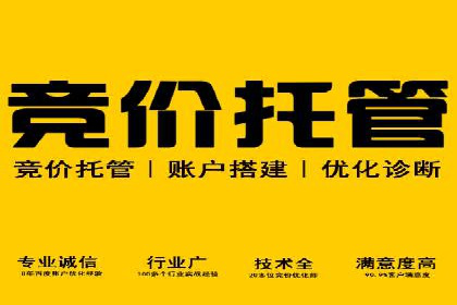 某汽车品牌如何通过SEM外包提升品牌知名度
